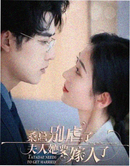 旧城十二时 免费追剧